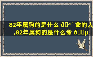 82年属狗的是什么 🪴 命的人,82年属狗的是什么命 🐵  新闻